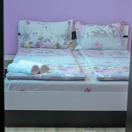 „жоро и дани “ *